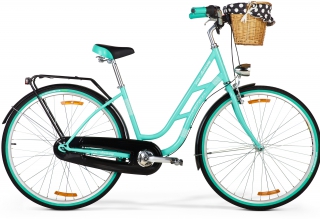 CLASSICWAY 728 rower