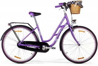 CLASSICWAY 728 rower