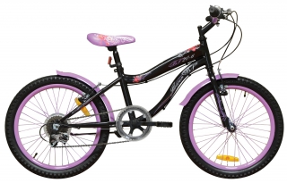 FLOWER BF 6-speed rower
