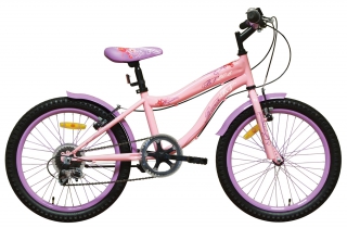 FLOWER BF 6-speed rower