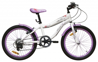FLOWER BF 6-speed rower