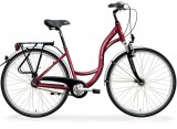 CITY 8300 rower