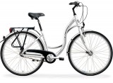 CITY 8100 rower
