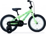 DAKAR 616-coaster rower