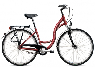 CITY 8300 rower