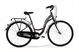 CITY 8100 rower