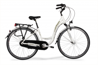 CITY 8300 rower